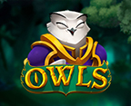 Owls